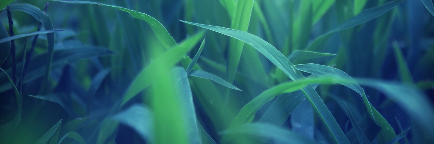 broobery's profile banner image