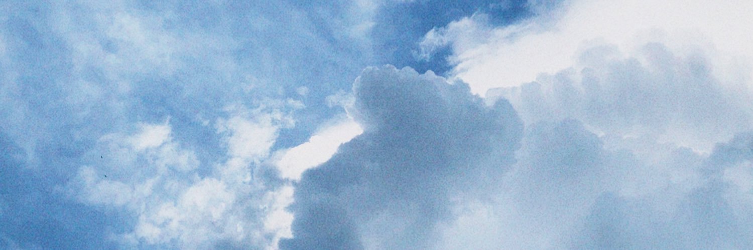 whoiselle_'s profile banner image
