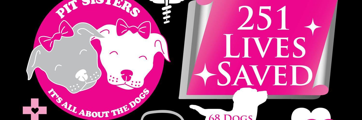 PitSisters's profile banner image