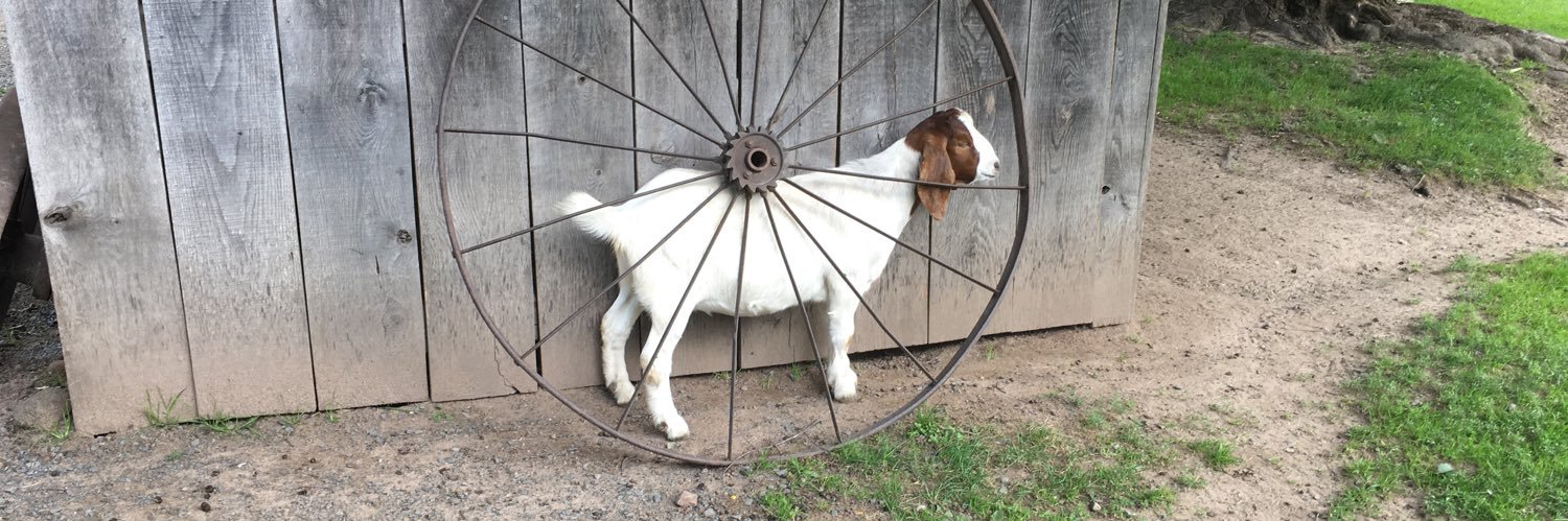 👻🎃🦇 ℑ𝔞𝔠𝔱𝔦𝔖𝔠𝔞𝔯𝔢 🦇🎃👻 banner