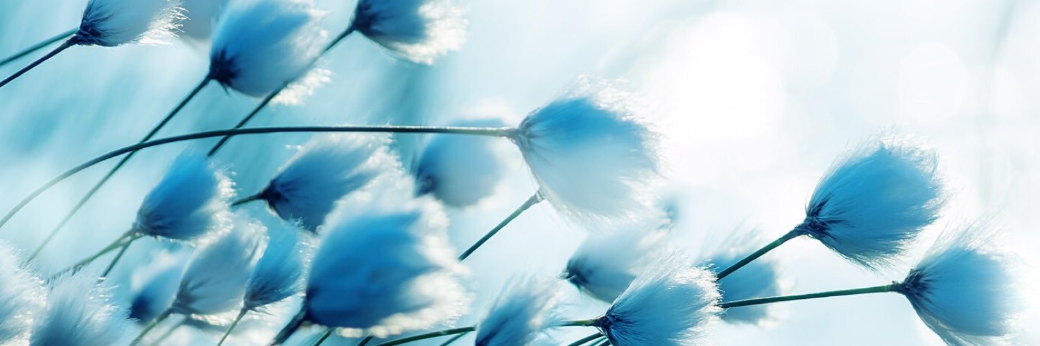 TerriTBennett's profile banner image