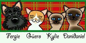 HVEDogCatVet's profile banner image