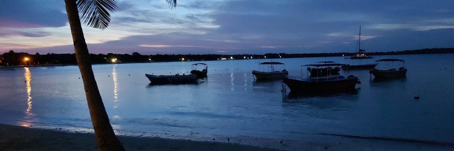 anumunasinghe's profile banner image