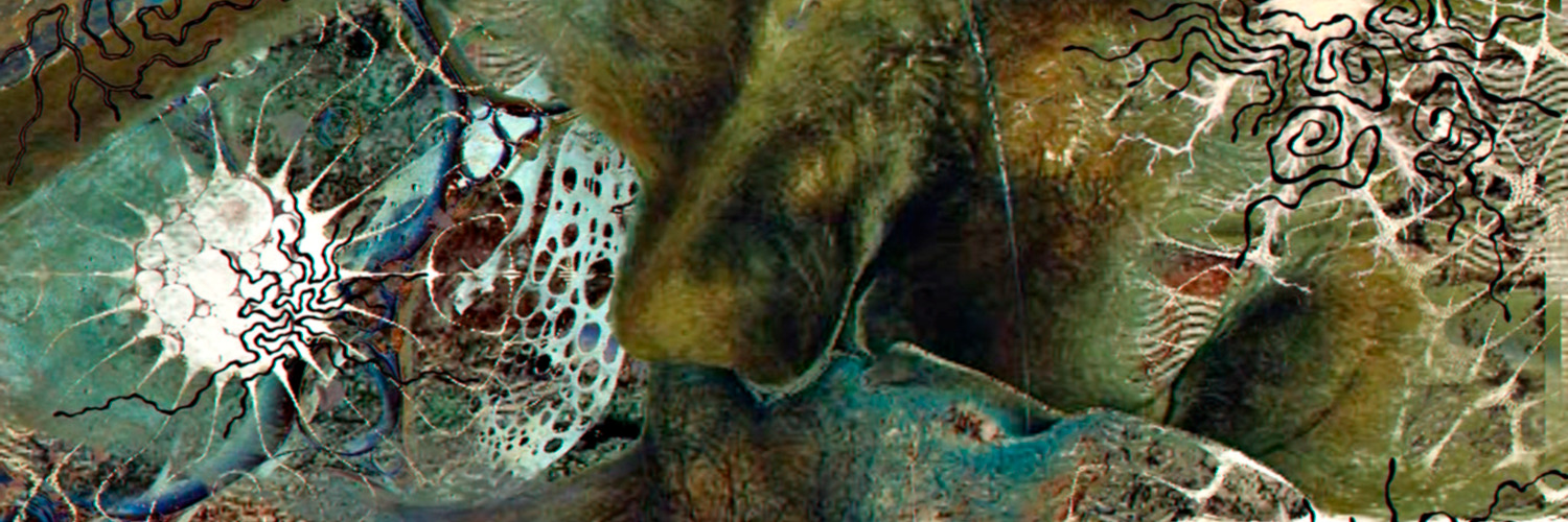 luubwu's profile banner image