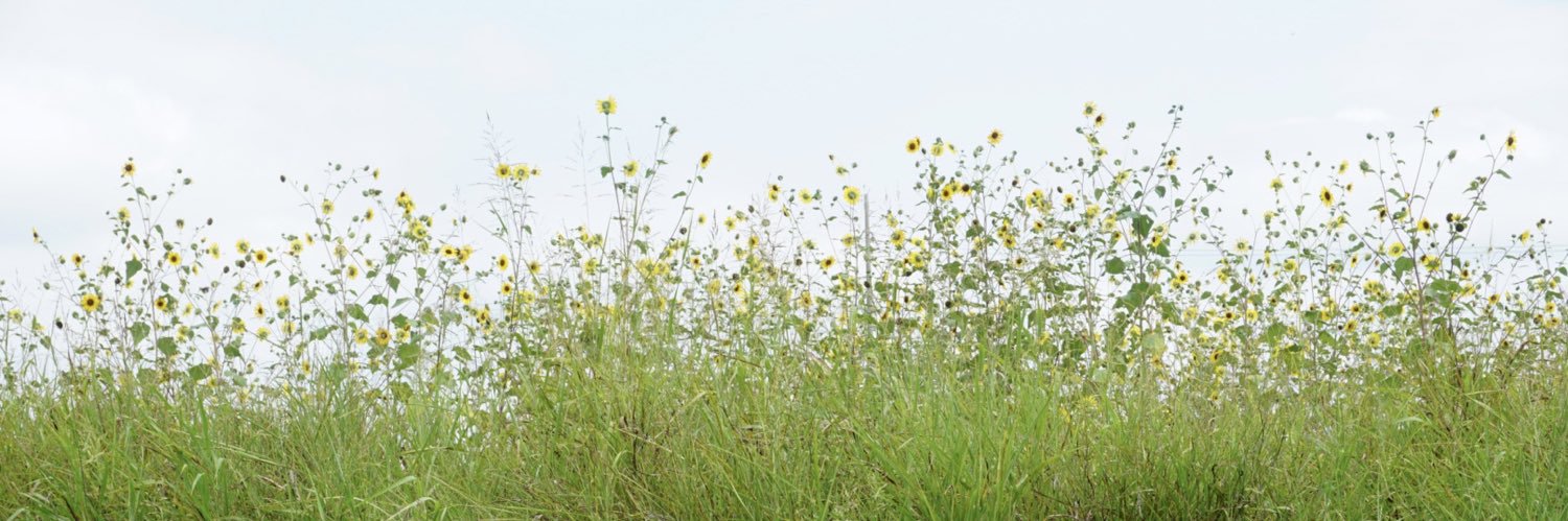 jacstweeter's profile banner image