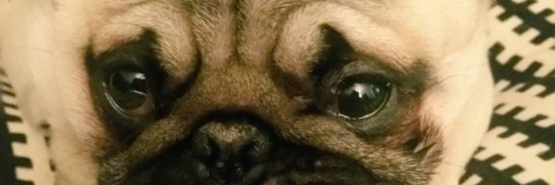 pretty_m27's profile banner image