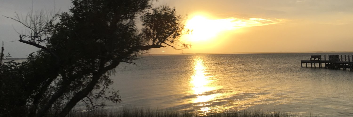 Tgod326's profile banner image