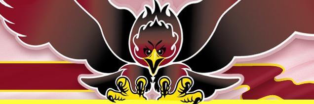 OfficialAiglons's profile banner image