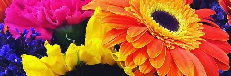 Ojoss_Ale's profile banner image