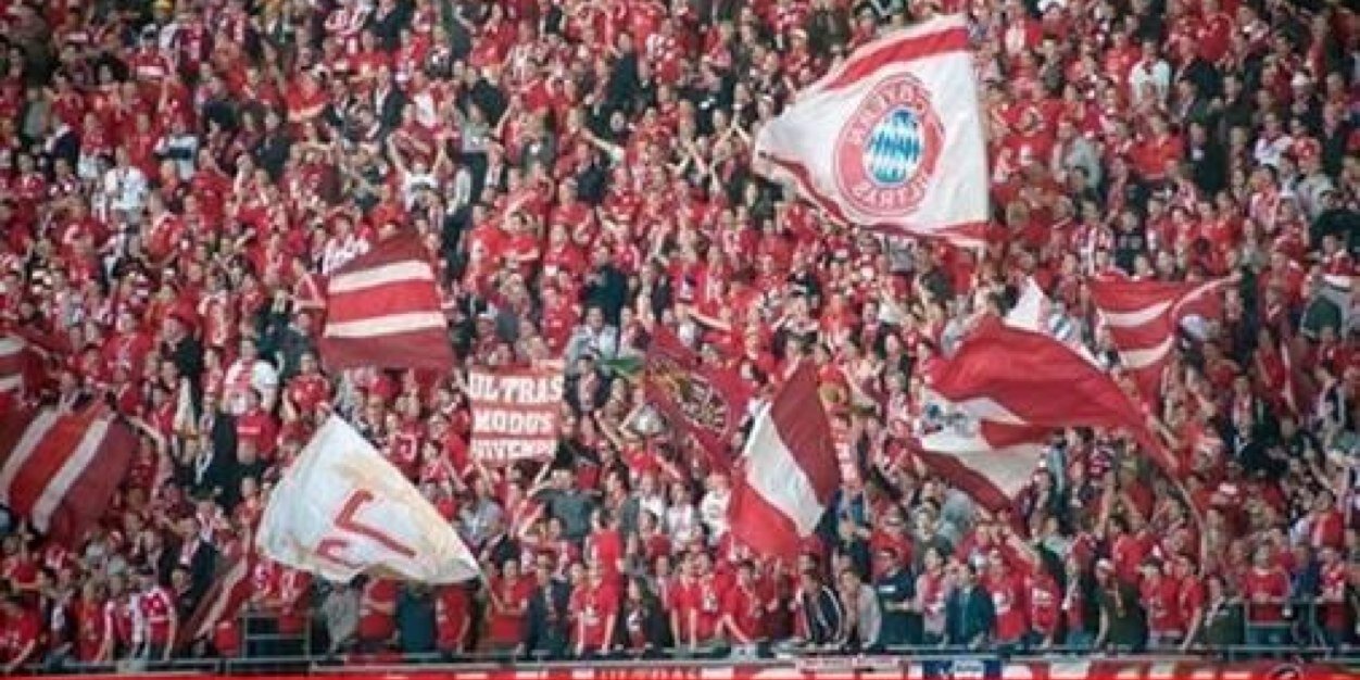 Willygopo's profile banner image