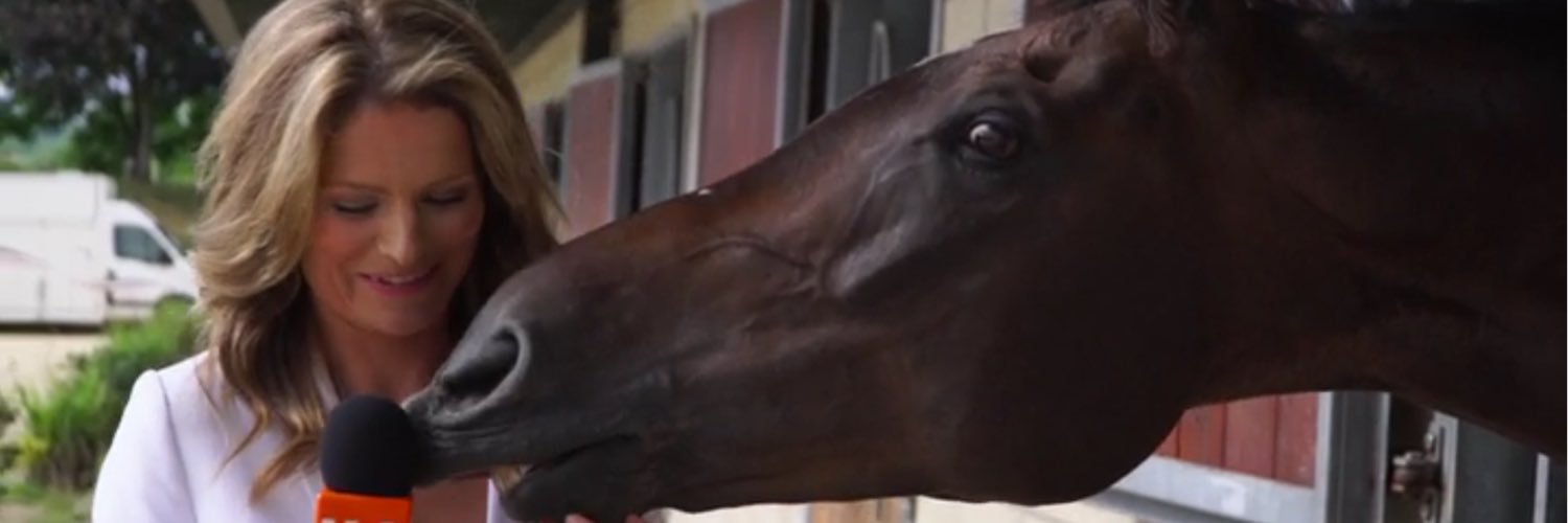 AmyParks7's profile banner image