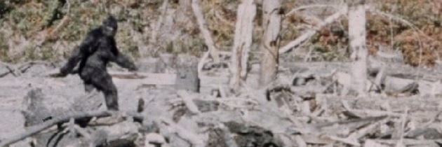 Steve Huber banner