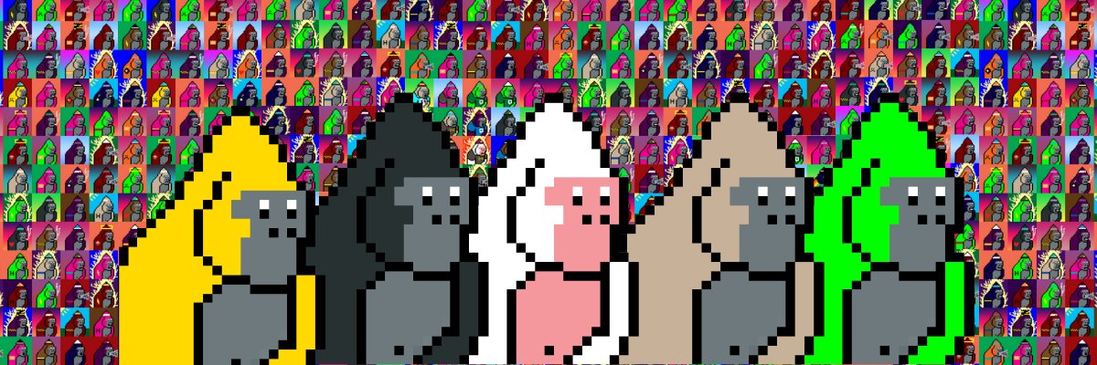 toadskipperz's profile banner image
