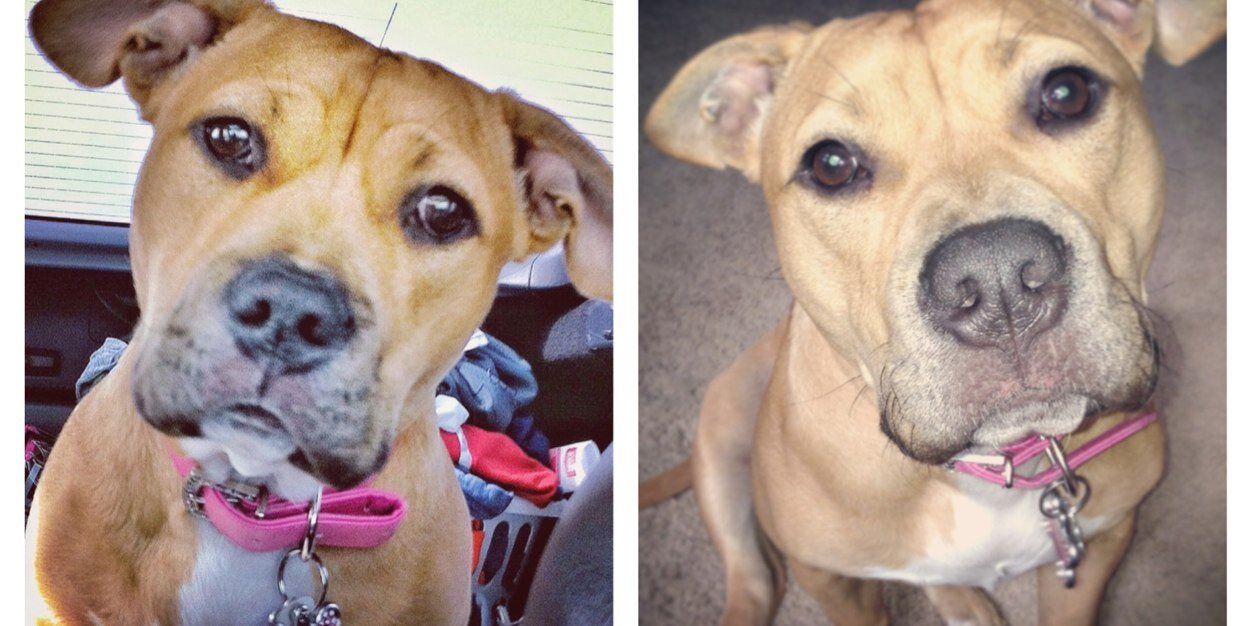 The Bryce Is Right banner