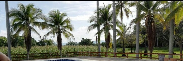 Geraldine2627's profile banner image
