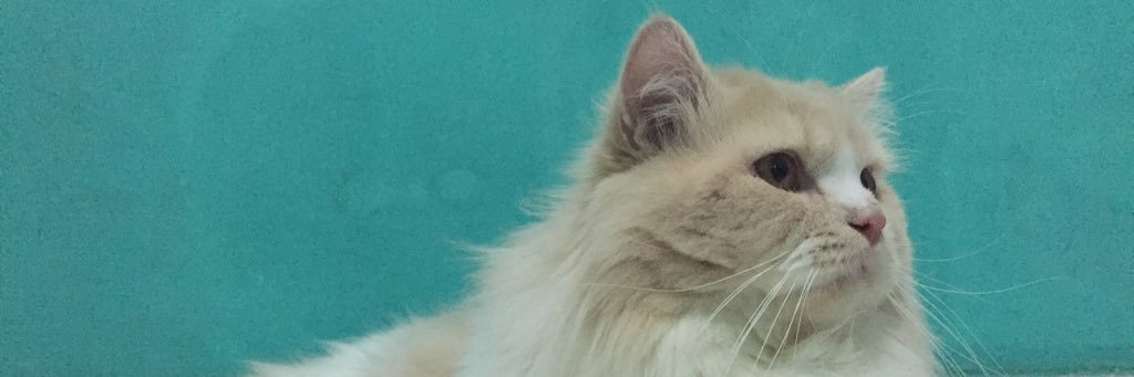 AntiFajar's profile banner image
