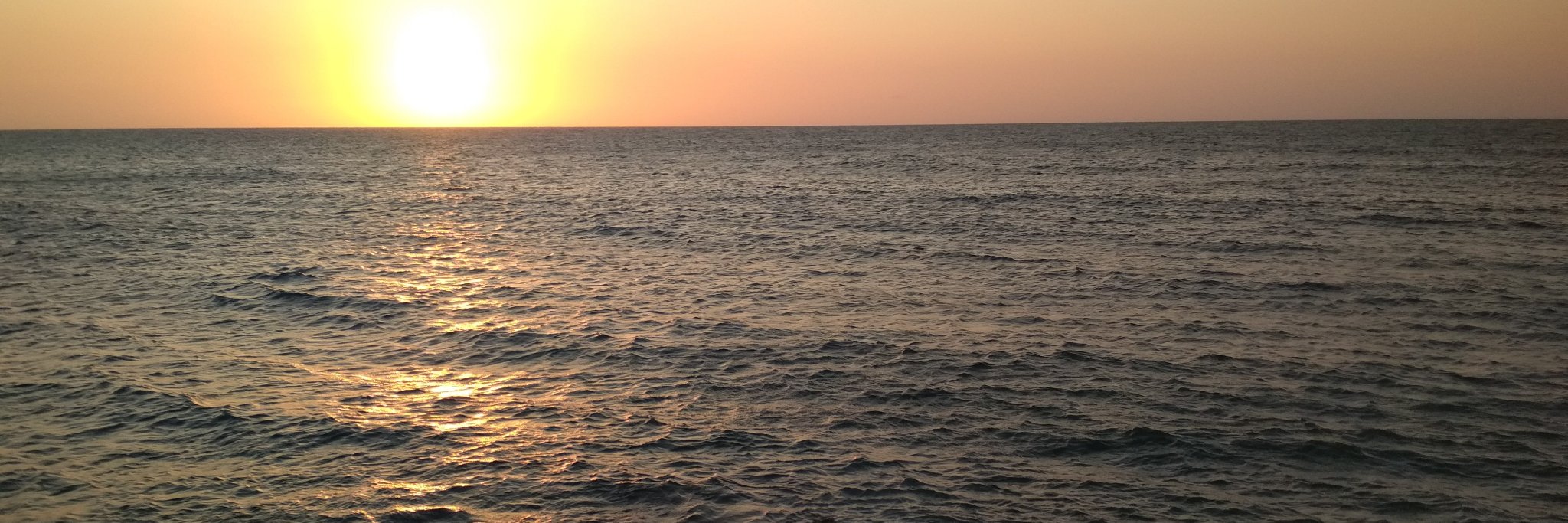 belmontrip's profile banner image