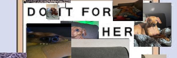 RollingDinsFire's profile banner image