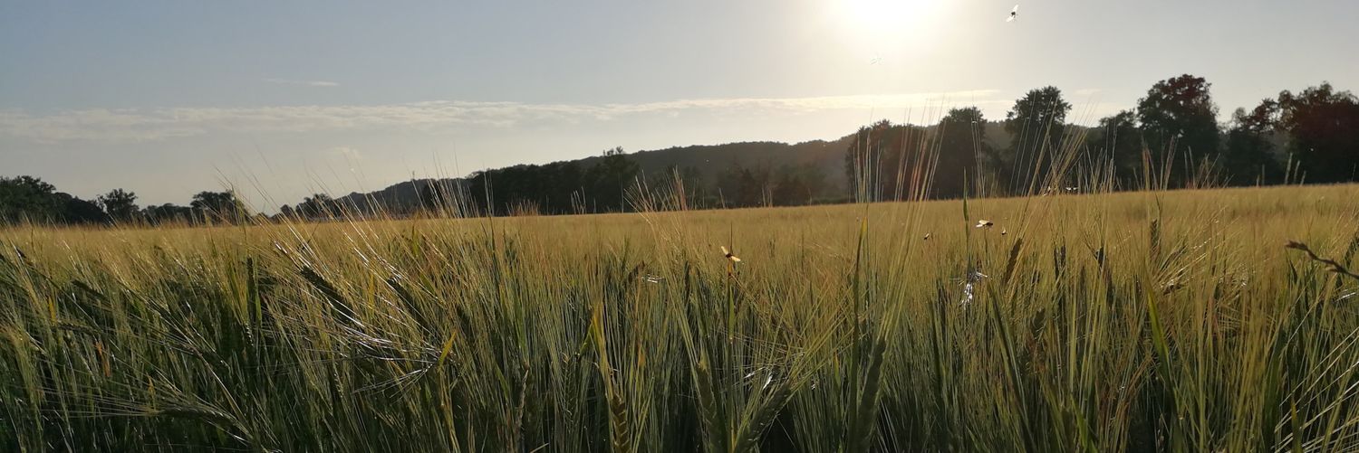 LimaSierra2's profile banner image