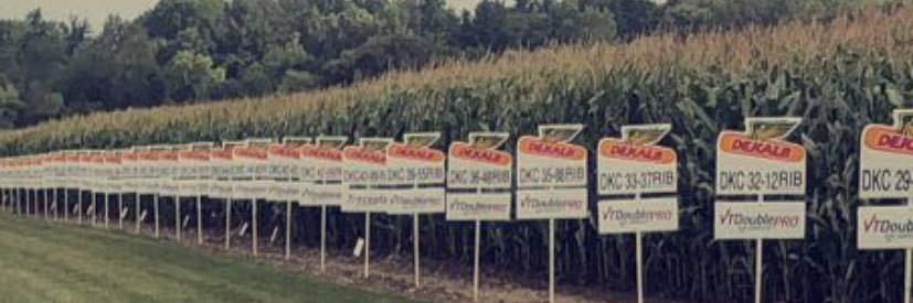 MSUMann's profile banner image