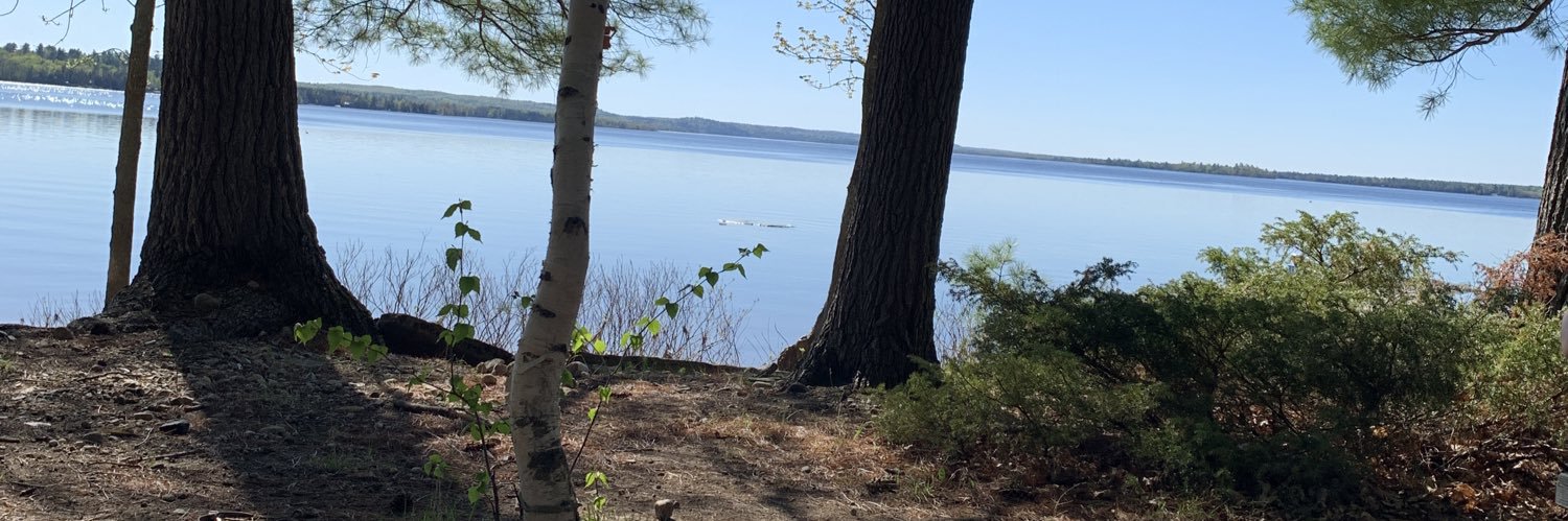 petercwoods's profile banner image