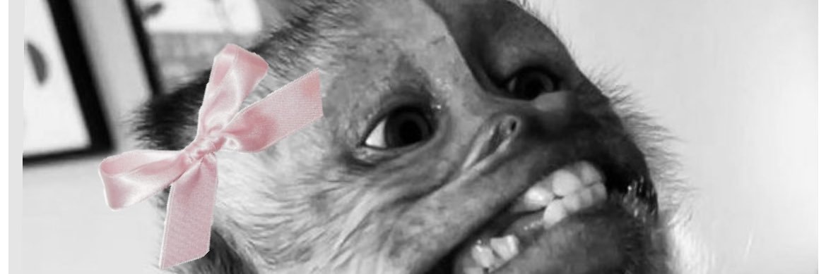 ValentinaBrun0's profile banner image