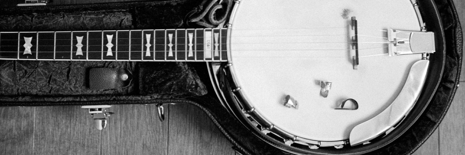leslievillepick's profile banner image