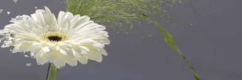 atalla88's profile banner image
