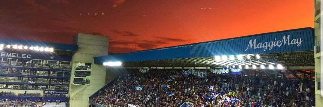 Drα. Mαggιε Mαγ B. banner