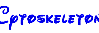HHSCytoskeleton's profile banner image