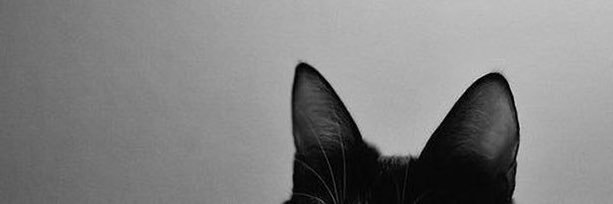 bethcinn's profile banner image