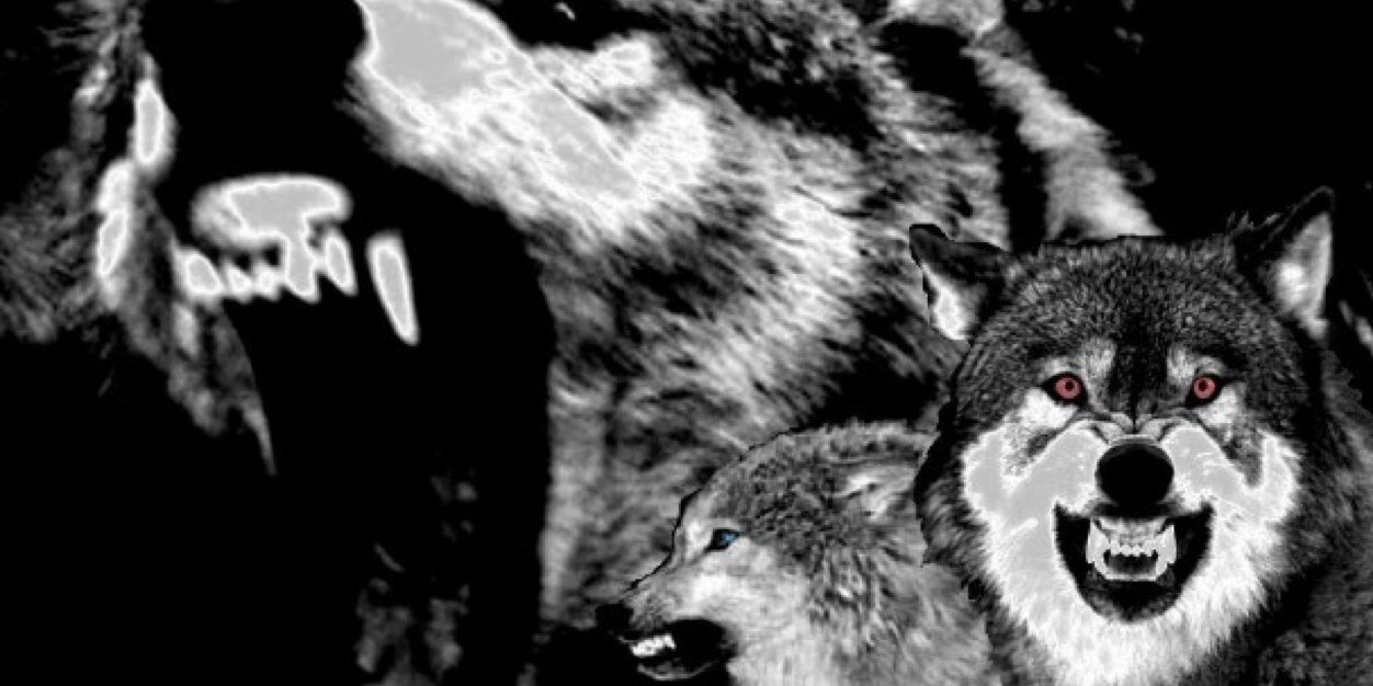 RickyyMane's profile banner image