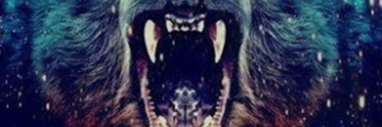 bradSLRS's profile banner image
