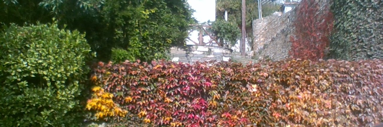 (((Phroexus))) banner