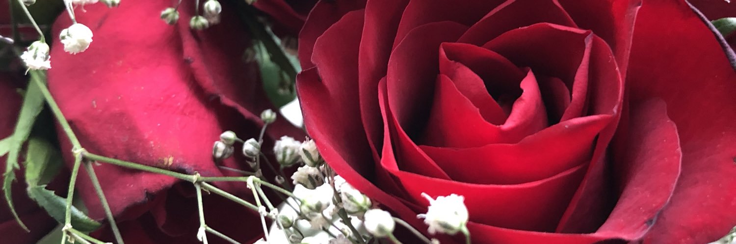 _myamistry's profile banner image