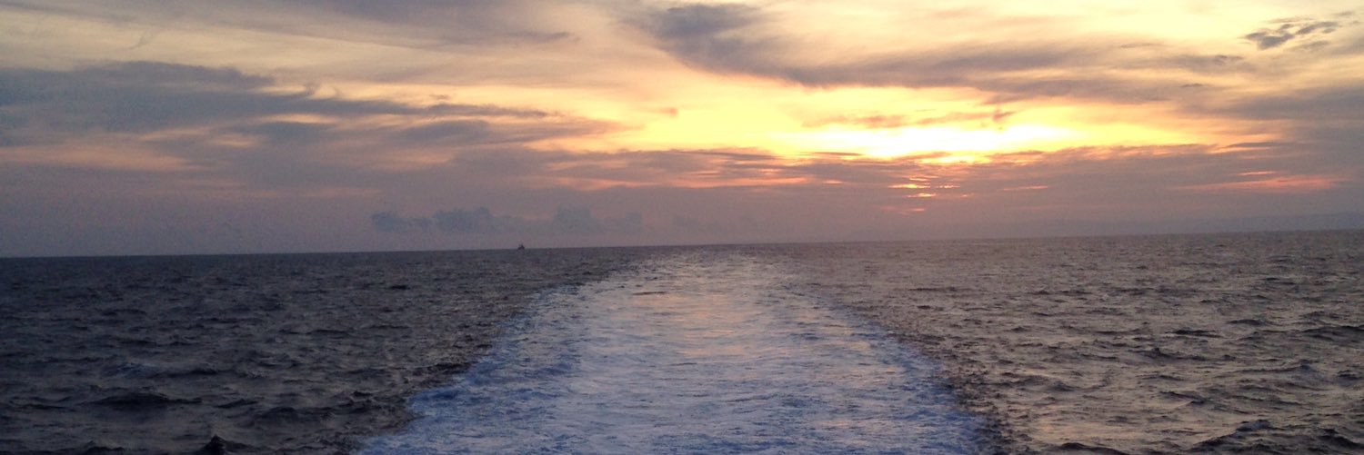 adewira's profile banner image