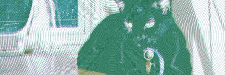 ClubMoonlight's profile banner image