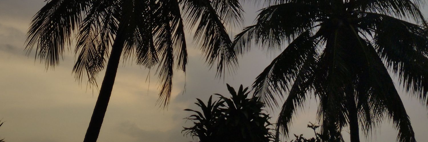 syfmarfi's profile banner image