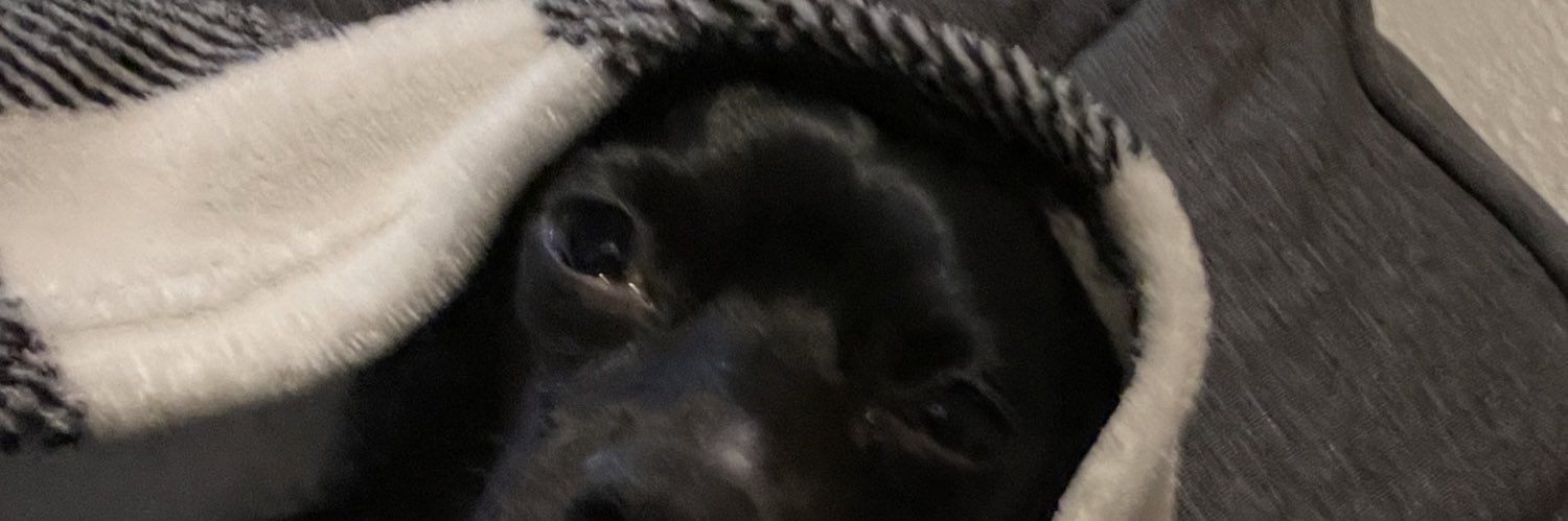 AaronAbrego's profile banner image