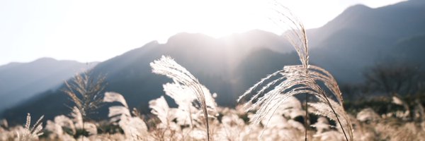 tw_aaaaaaaaa Profile Banner