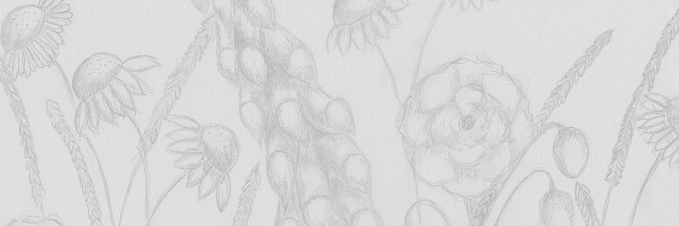 CaltefDesigns's profile banner image