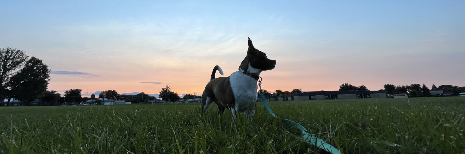 karly_gallis's profile banner image