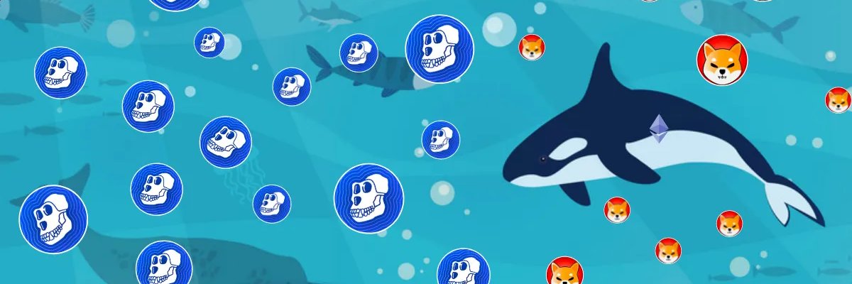 tim_rogers72's profile banner image