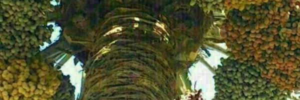 أحمد بن عبدالعزيز الغصن banner