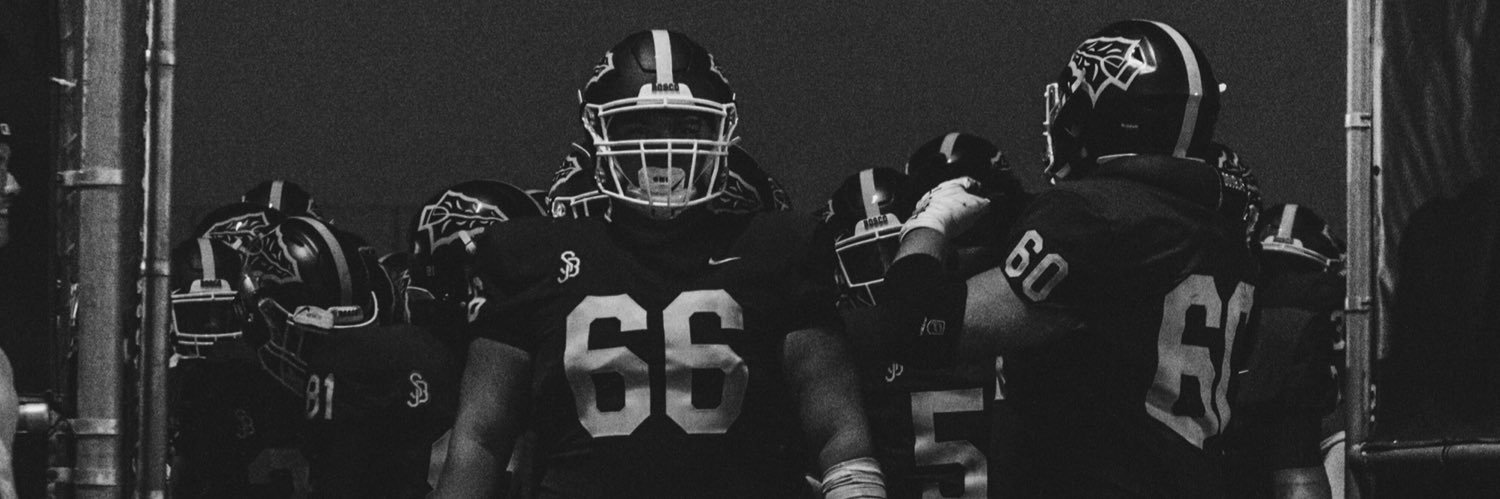 Logan Bednar banner