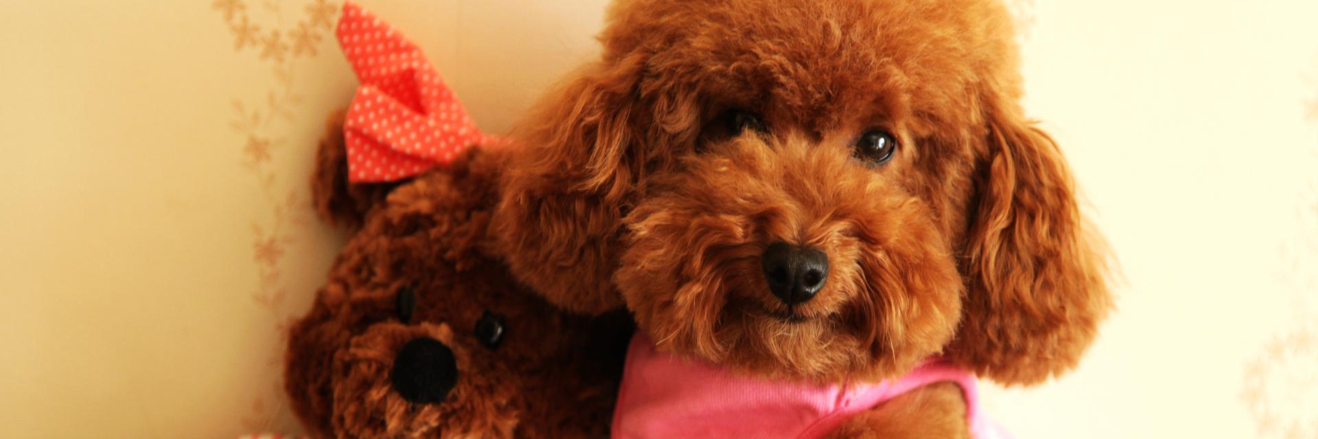 Devita91's profile banner image