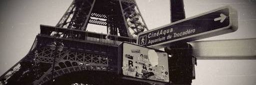 eduard_dy's profile banner image