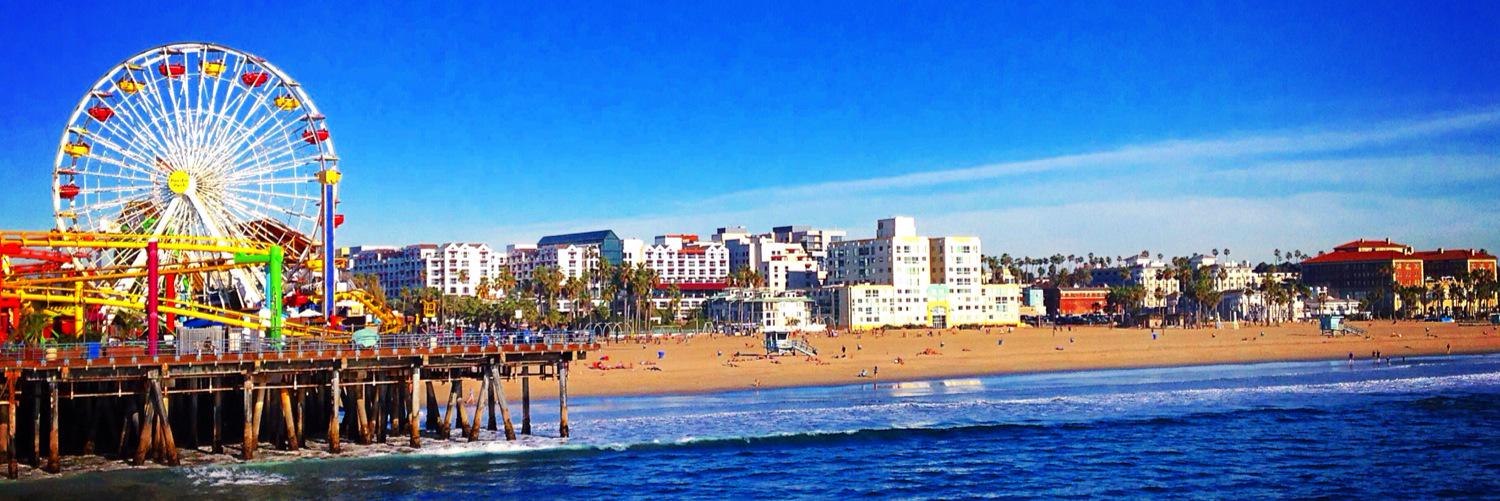 Dominic Cavalero banner