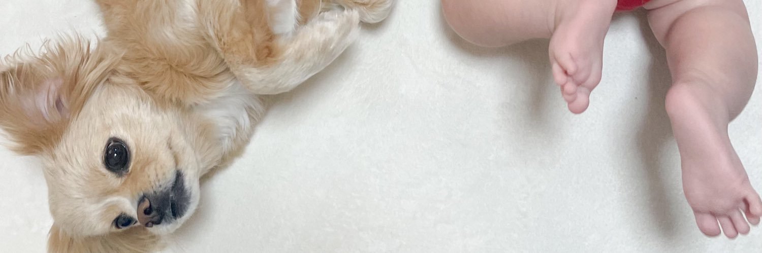 yyk24d's profile banner image