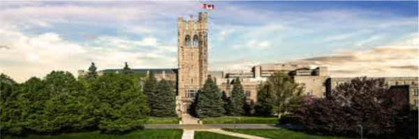 LondonSct Profile Banner